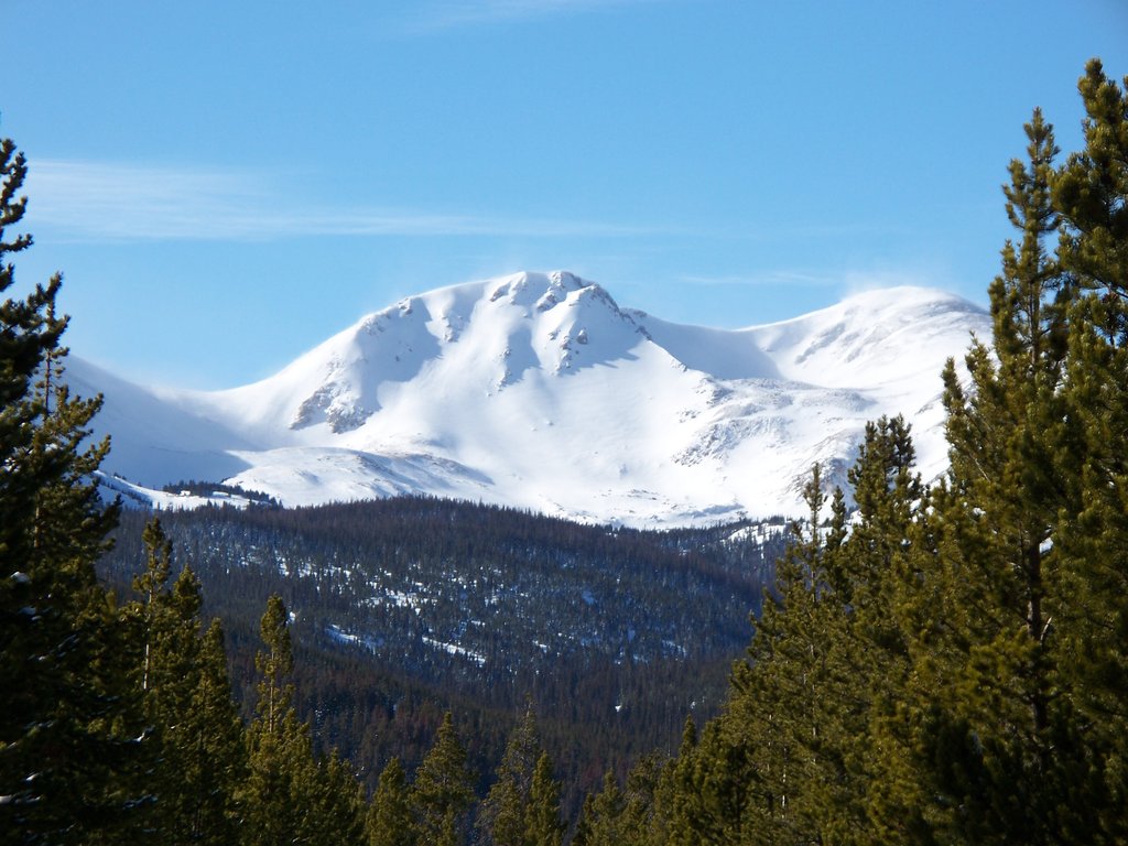 Le foreste del Cameron Pass, nel Colorado, sono decimate dagli incendi (fs.usda.gov)