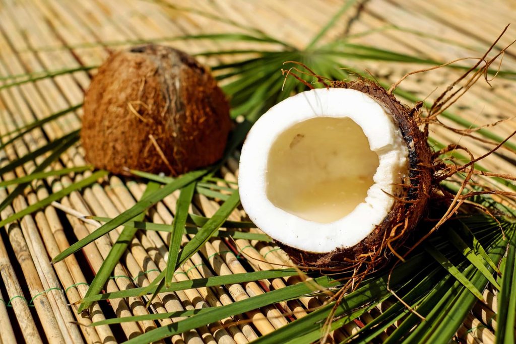 Noce di cocco (pixnio.com)