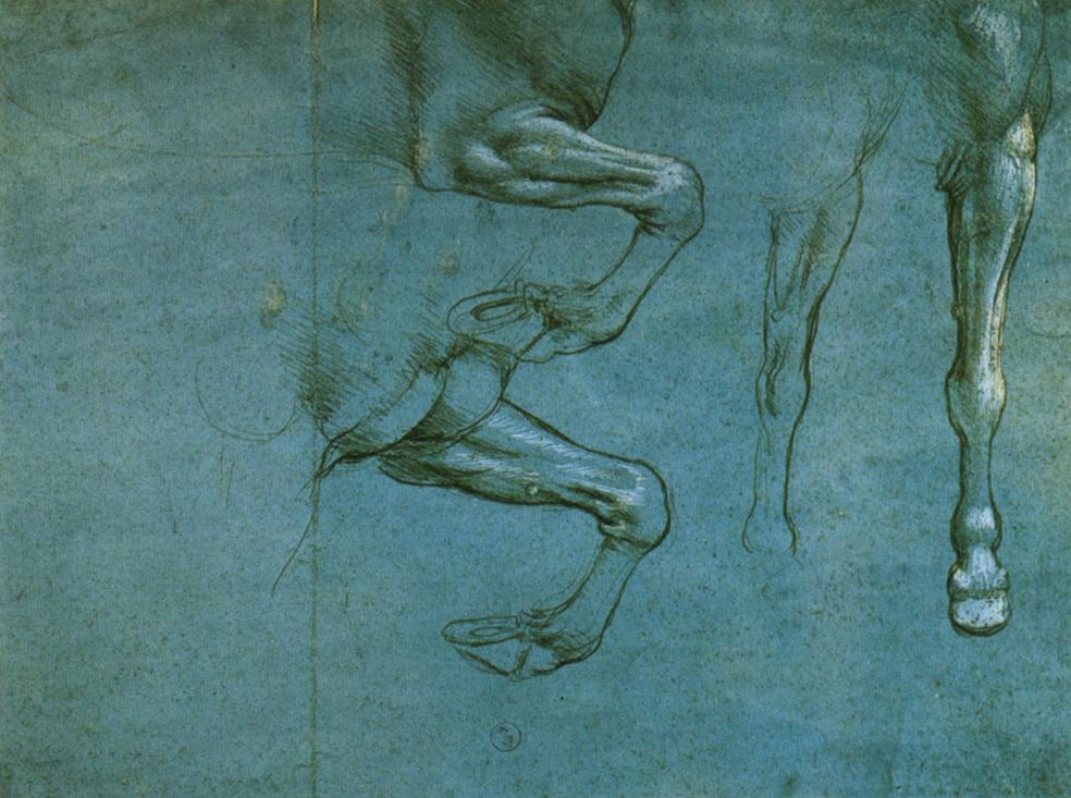 Da Vinci, studio delle gambe anteriori di un cavallo, 1490 circa (Bibl.Reale, Torino)