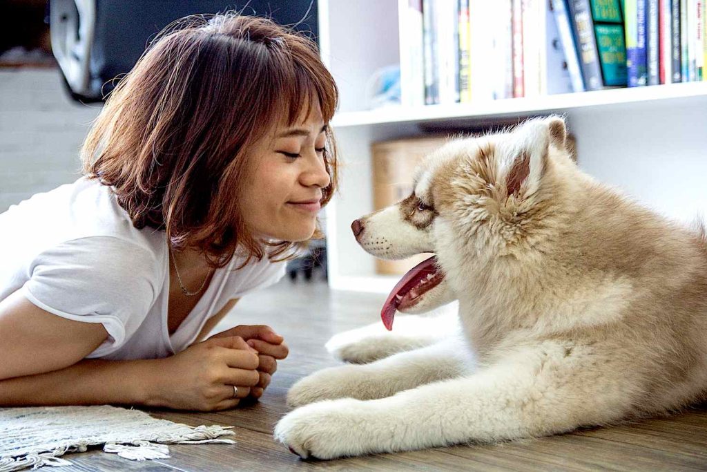 L’attuale legge tutela sia benessere sia dignità degli animali. (pexel)