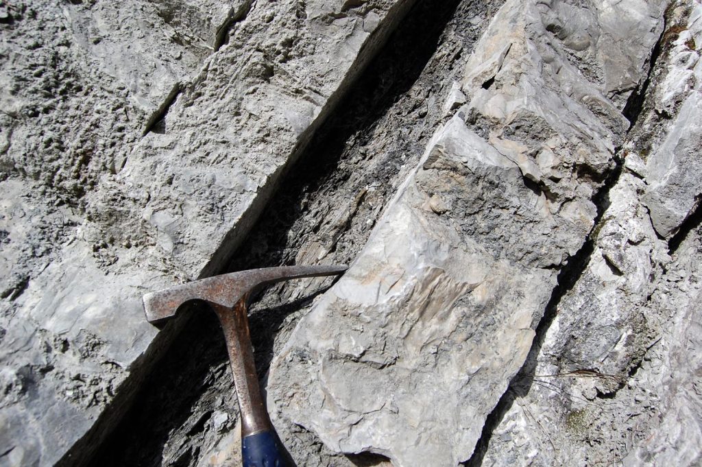 Argille nere del Livello Faraoni intercalate nei calcari bianchi della Maiolica. Ex cava Saceba (R. Stockar)
