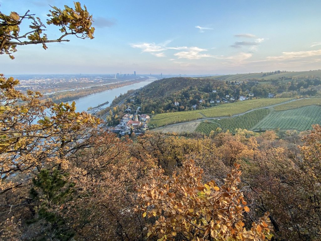Panorama su Vienna dalla località collinare di Kahlenberg