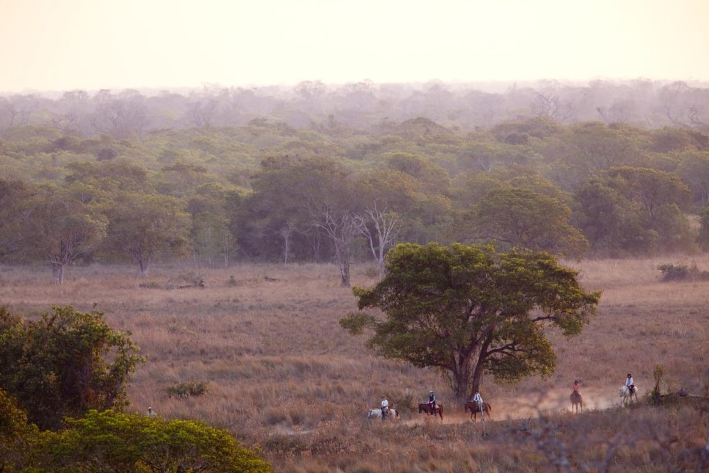Turisti a cavallo nel Pantanal, Mato Grosso, Brasile. (Franco Banfi)