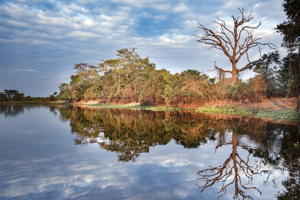 Paesaggio sulla riva del fiume, zone umide del Pantanal (Franco Banfi)