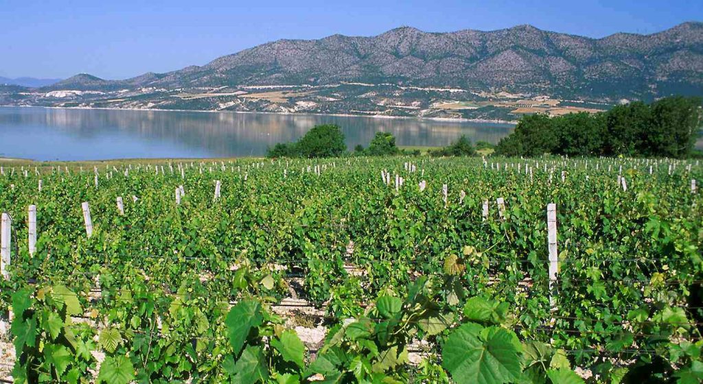 (winesofgreece.org)