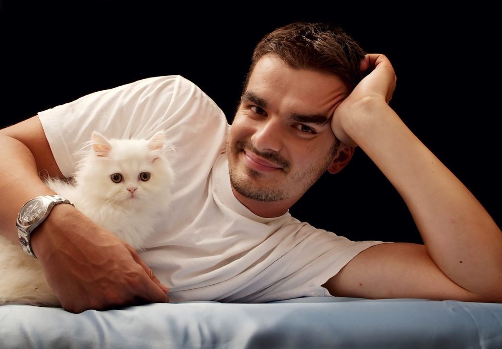 Una teoria ritiene che anche i gatti siano lo specchio del padrone (Pixabay.com)