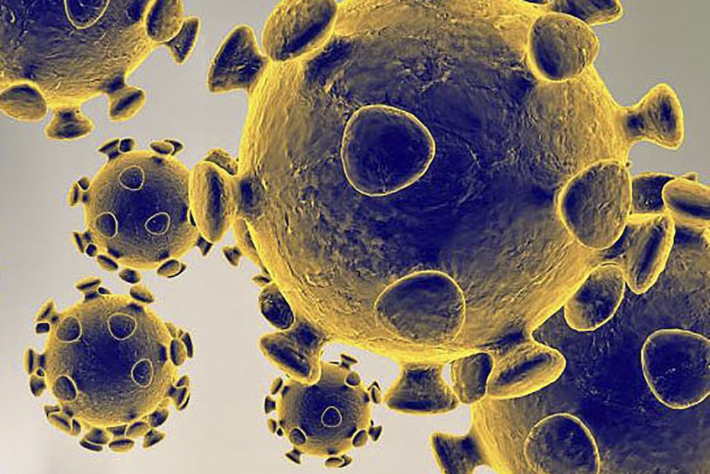 Immagine del Coronavirus COVID-19 rilasciata dall'ente governativo americano Food and Drug Administration (AFP)