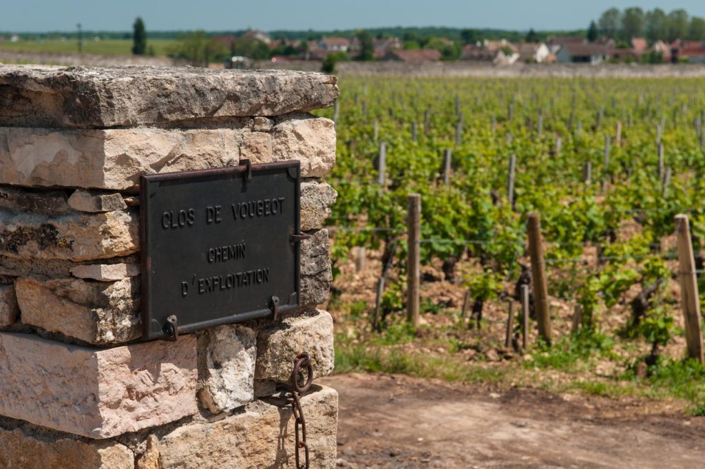 Un pezzo della mitica cinta muraria del Clos de Vougeot (Michal Osmenda)