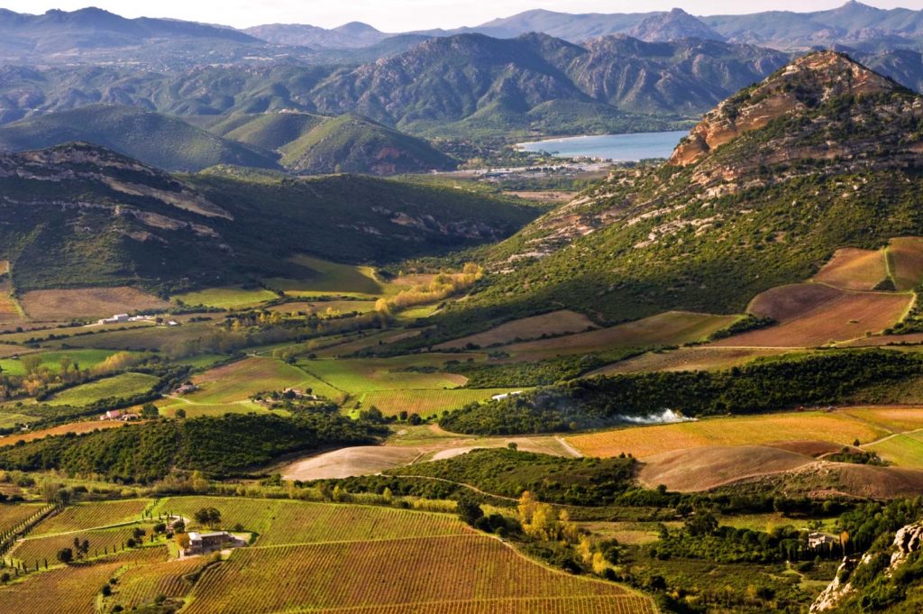 Vigneto AOC Patrimonio vicino a Saint-Florent (JPS68)