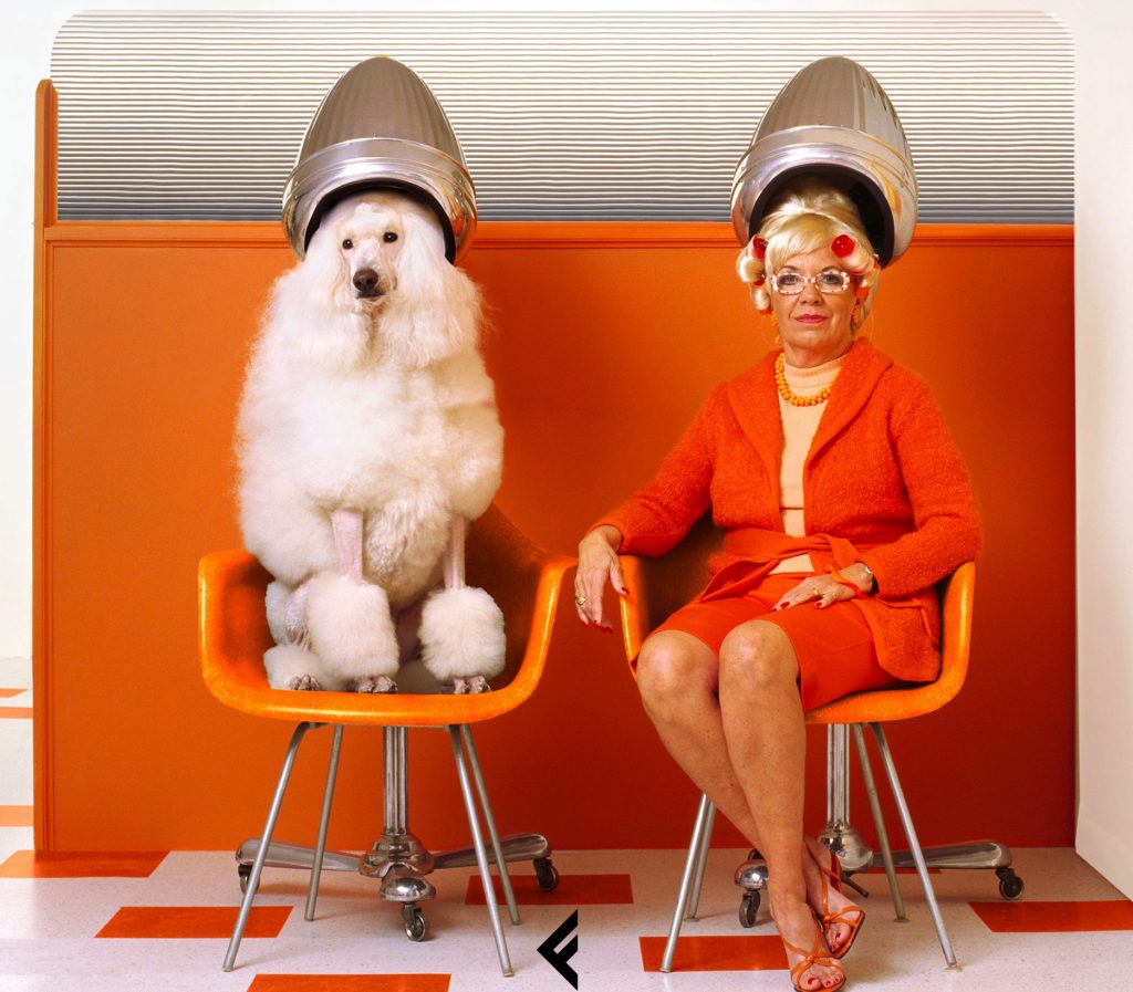 Immagine tratta dalla copertina del libro «Pets. Come gli animali domestici hanno invaso le nostre case e i nostri cuori»