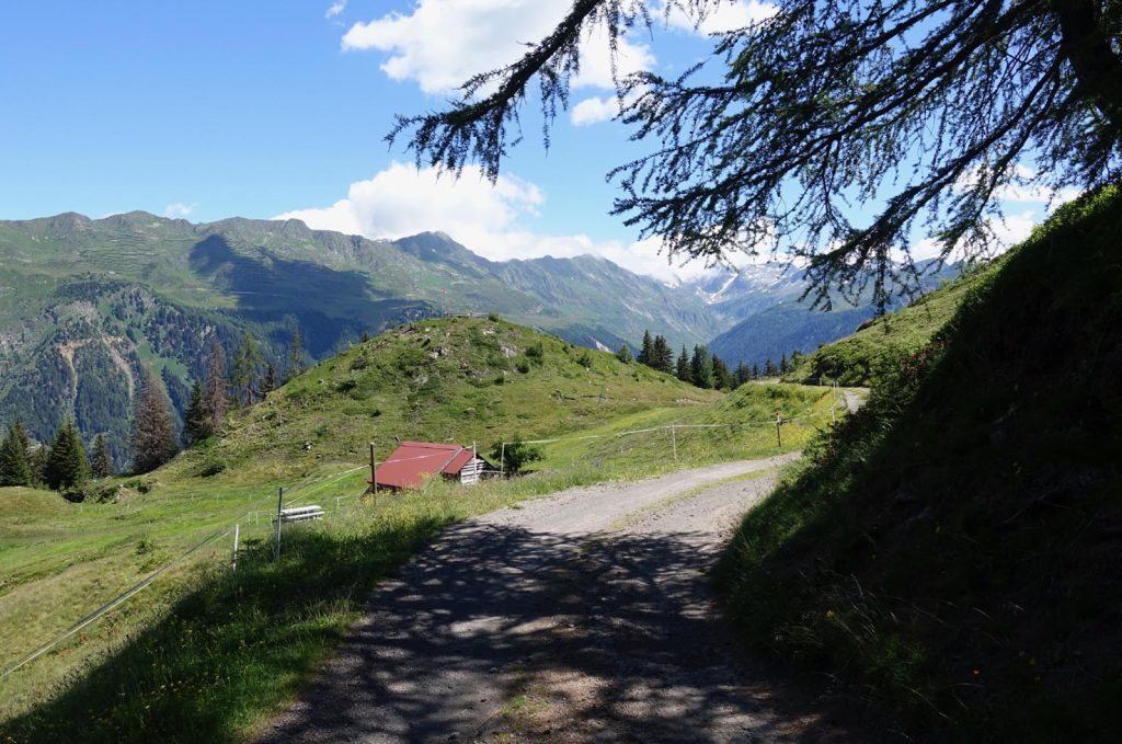 La strada attraverso i pascoli dell'alpe Pesciüm