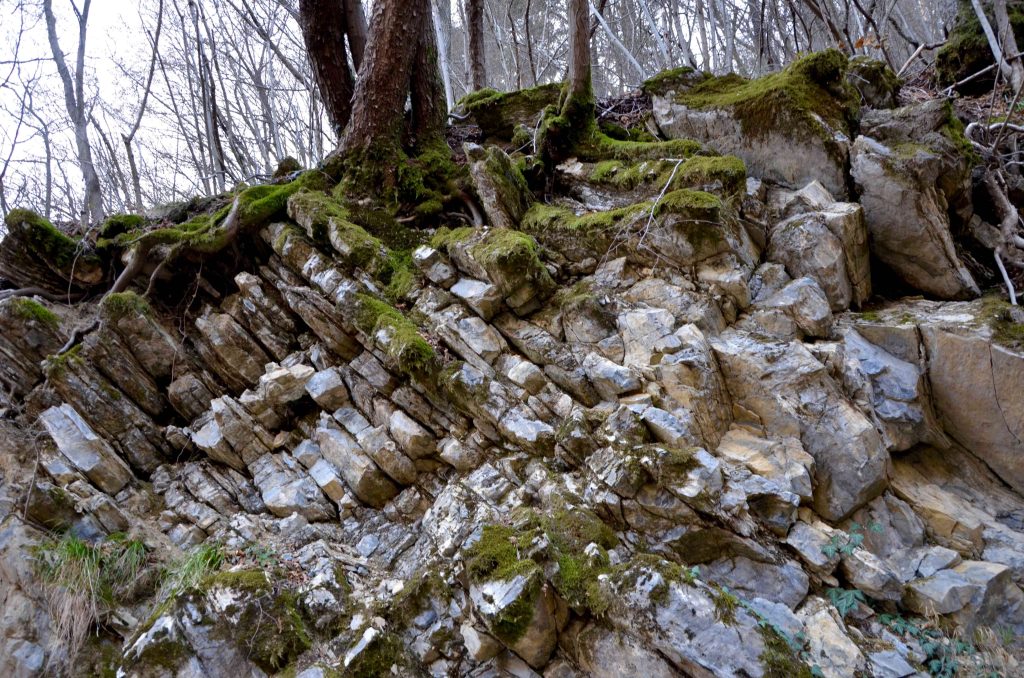 La terra mostra frammenti del suo scheletro
