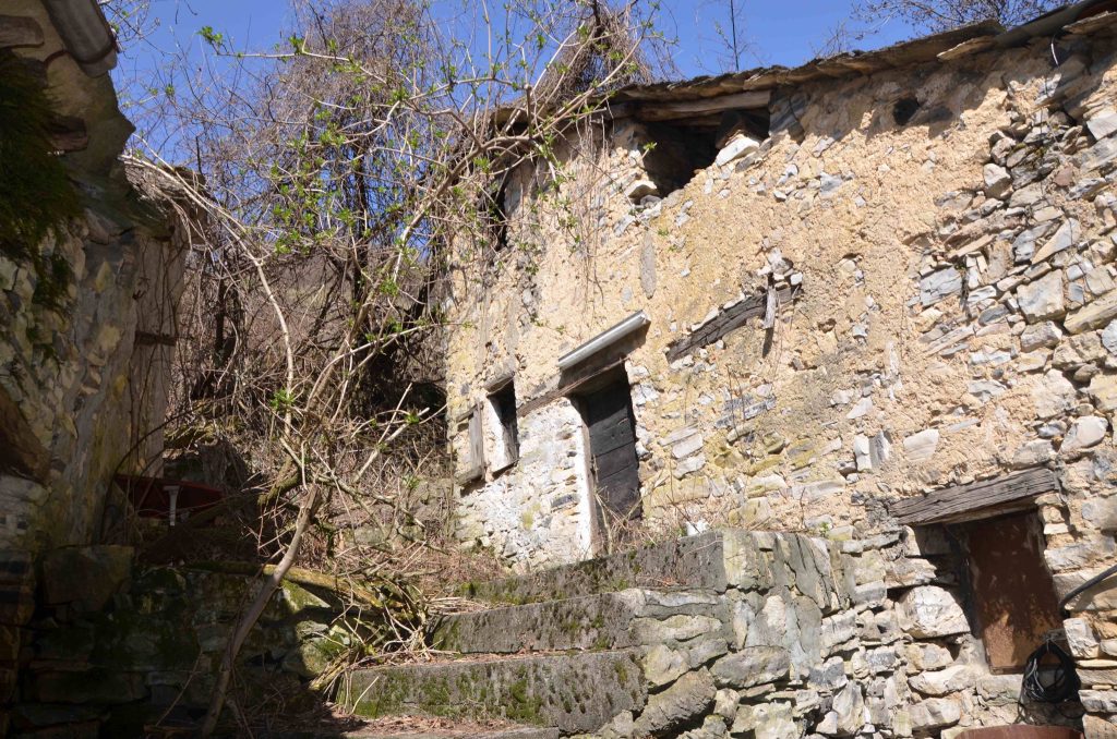 Cascine abbandonate nel bosco