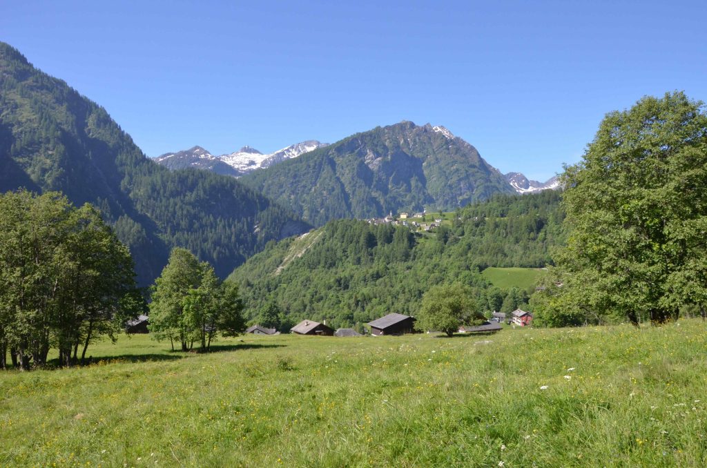 Si sale in mezzo ai pascoli