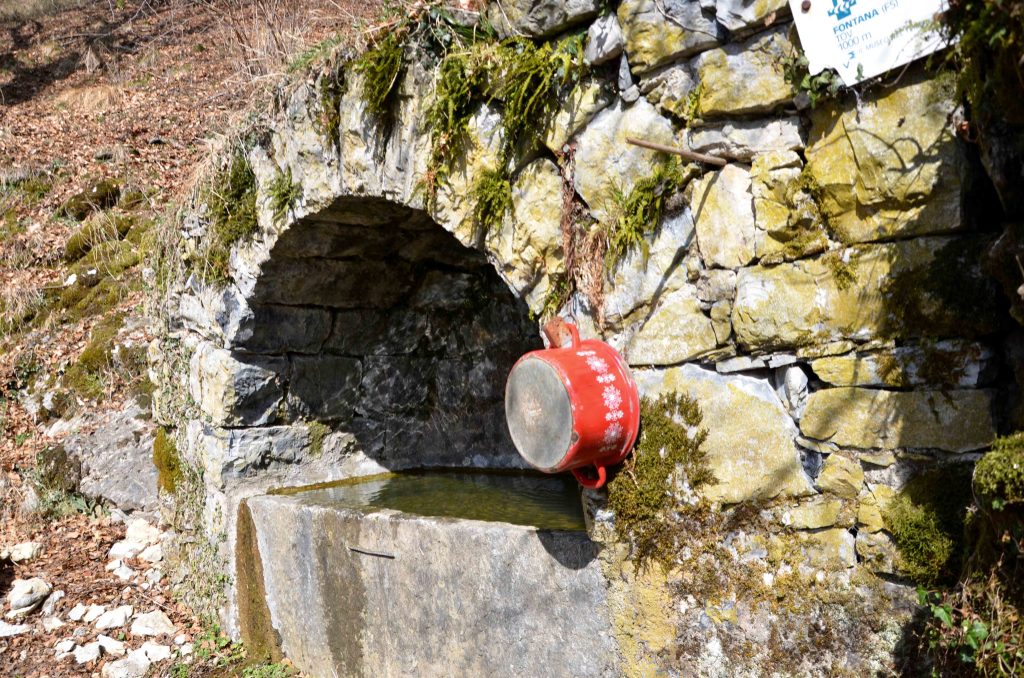 La fontana di Arla