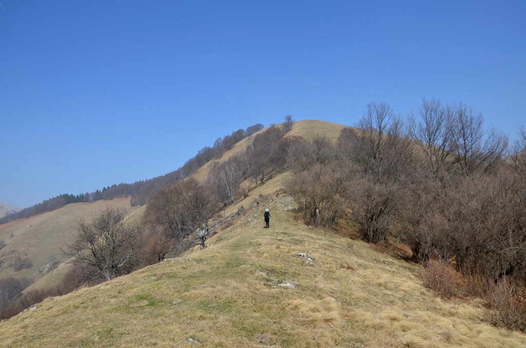 Verso il Poncione di Cabbio