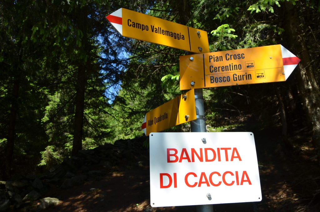 Il sentiero si biforca al punto 1'567 msm