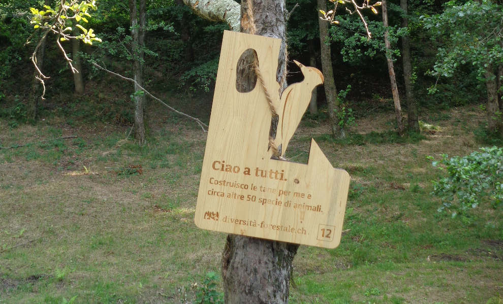 Alcuni cartelli sul percorso del Monteceneri (E. Stampanoni)