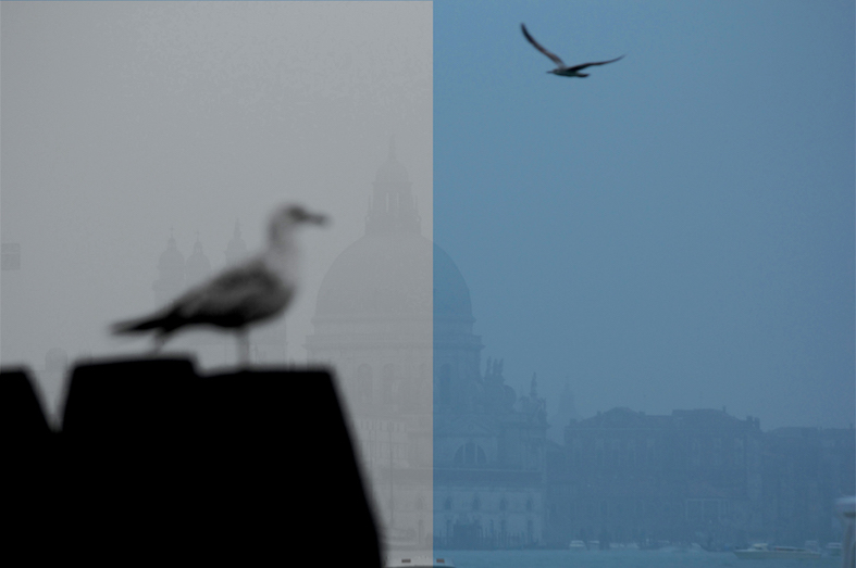 Venezia (Manuela Mazzi)
