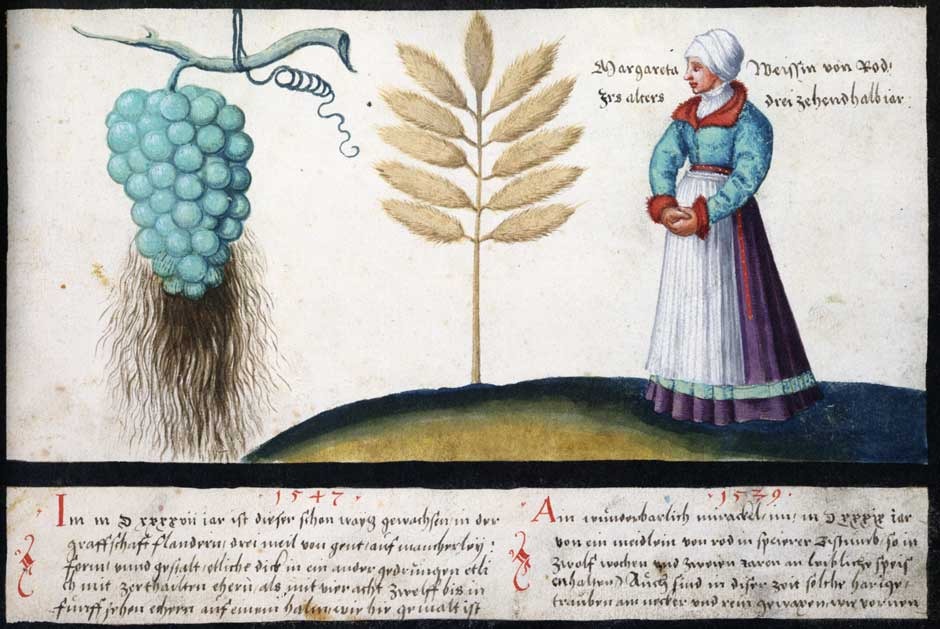 L’illustrazione 158: spiga di grano gigante, uva barbuta e Margaretha Weiss, digiuna per due anni.