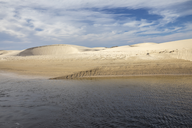 Vista delle dune di sabbia dal mare, Baia di Magdalena, Puerto San Carlos, Baja California, Messico (Franco Banfi)