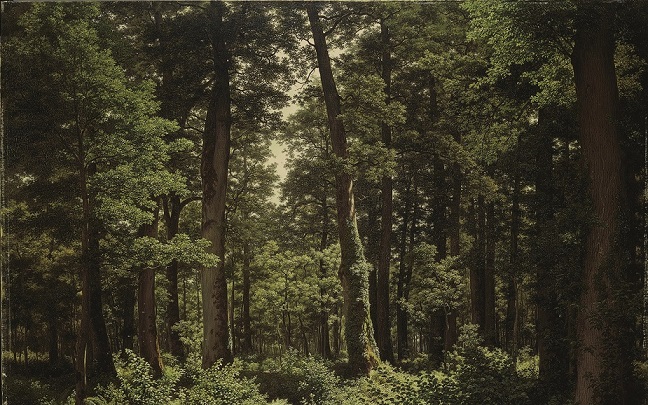 Robert Zünd, Eichwald, 1859 olio su tela, Kunstmuseum Luzern (Deposito fond. BEST Art Collection Luzern, già Bernhard Eglin-Stiftung)