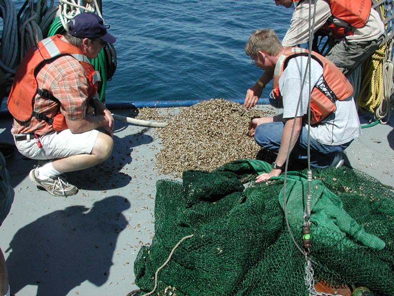 (NOAA Great Lakes Environmental Research Laboratory)
