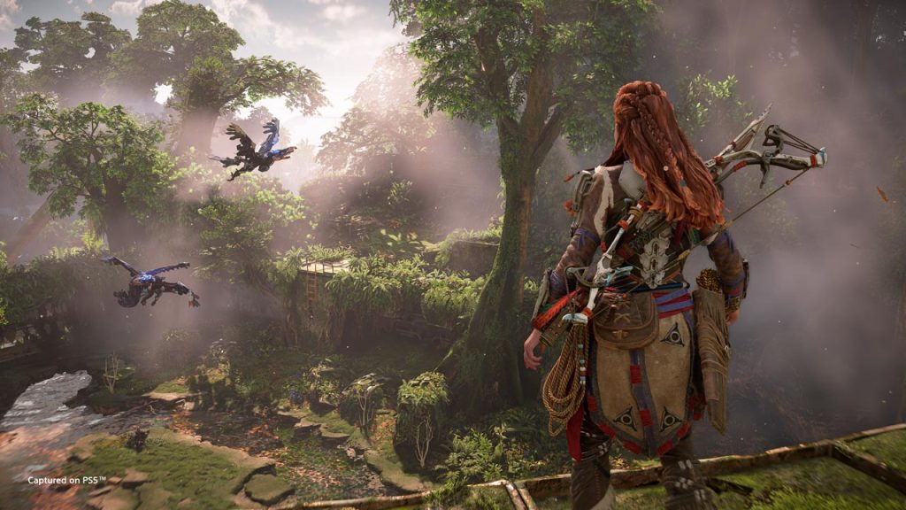 (Guerrilla Games)