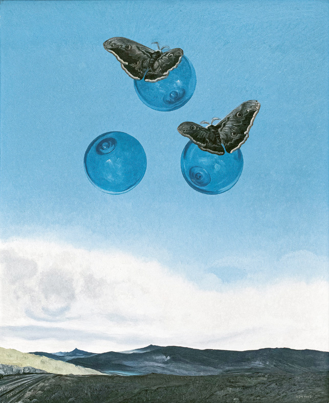 «Falene Imperatori» (Tuono), Marion Adnams, 1963 (MCBA)