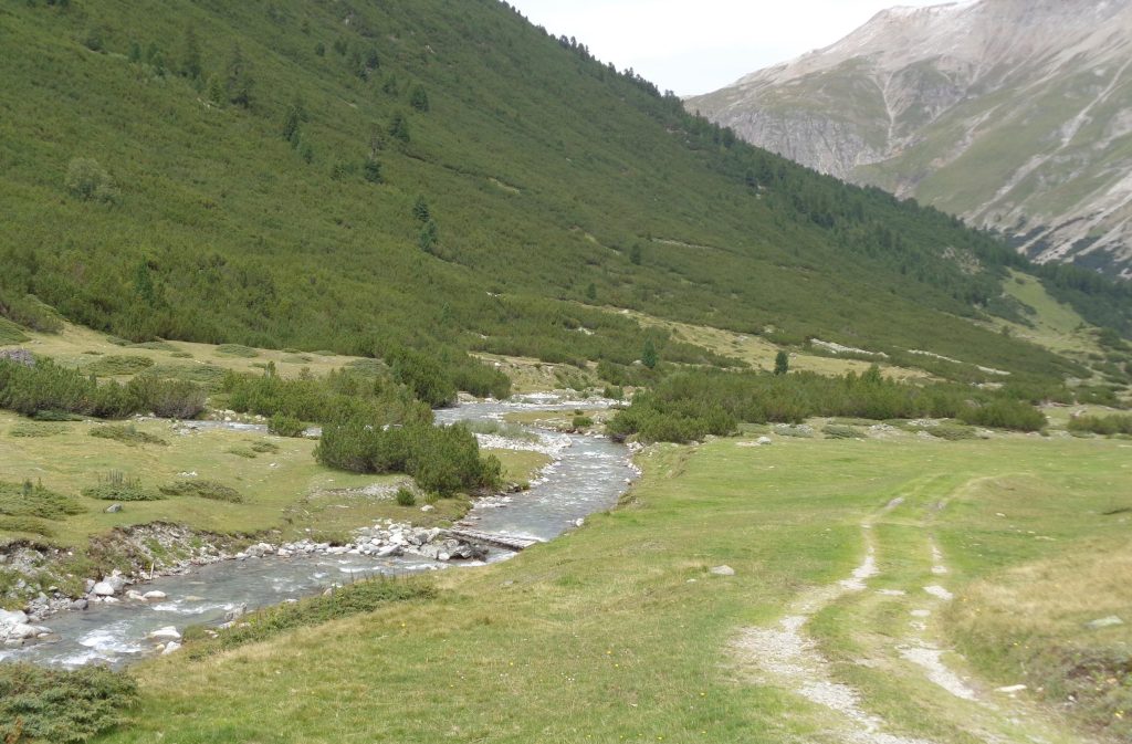 Il fiume Chamuera scorre in Engadina (E. Stampanoni)