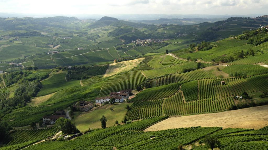 Vigneti nel Roero, a La Morra (Pixabay.com)