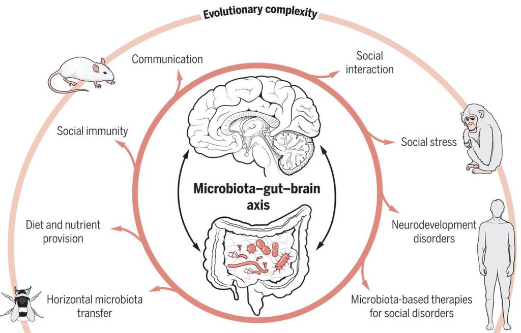Immagine da: https://science.sciencemag.org/content/366/6465/eaar2016/tab-figures-data