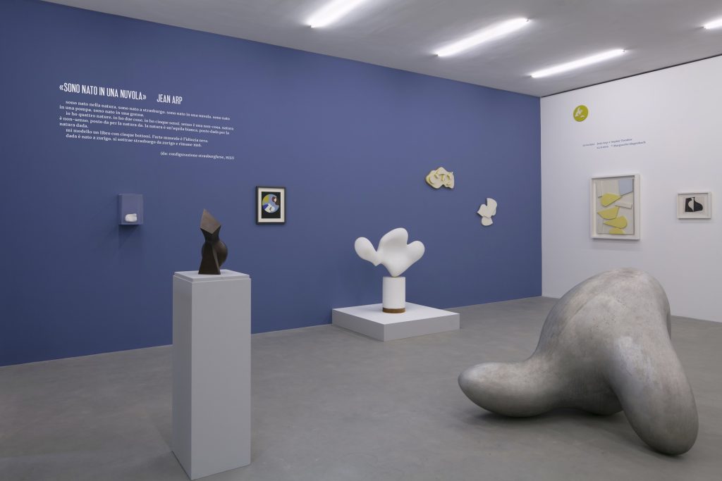 Veduta della mostra Sono nato in una nuvola (Fondazione Marguerite Arp, foto di Roberto Pellegrini)