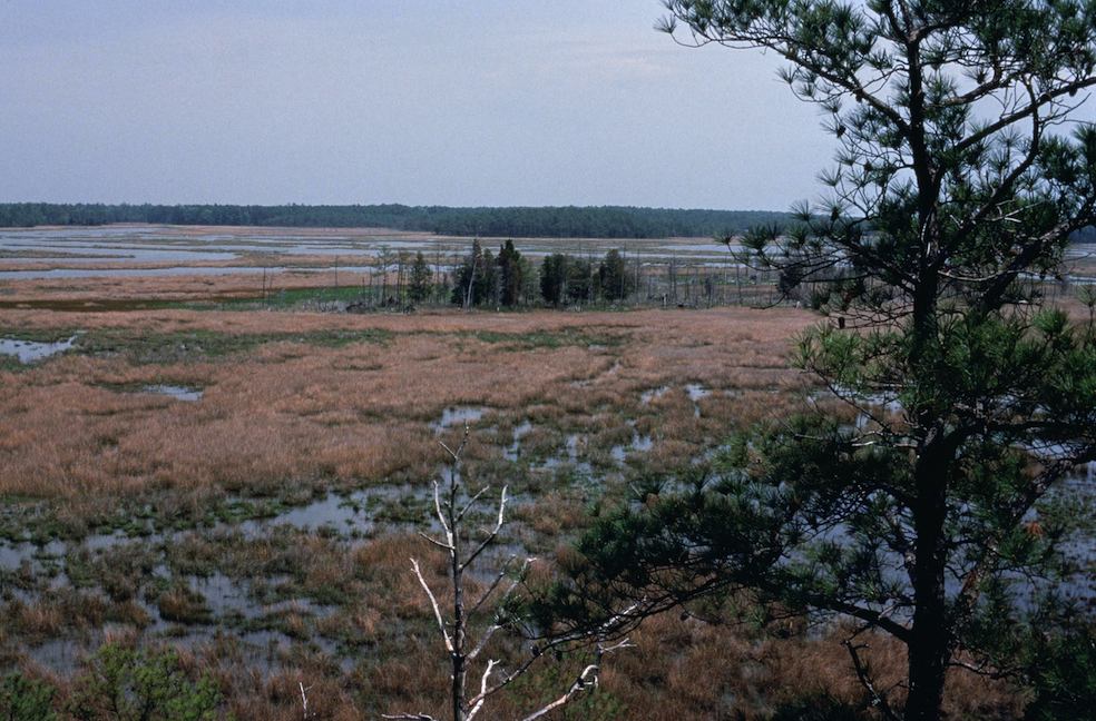 Preserve Louisiana (Ken Lund)