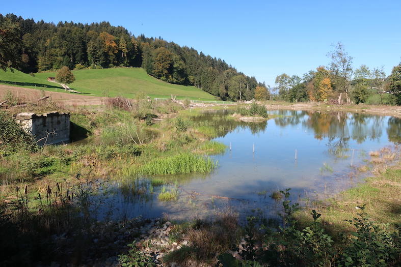 Ambiente adatto per natrice dal collare (Manfred-Steffen)