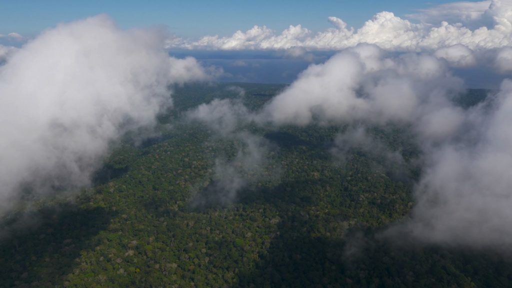 Amazzonia, vista aerea (NVP3D Philippe Nicolet)