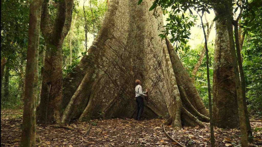 Gerard Moss durante una spedizione in Amazzonia (NVP3D Philippe Nicolet)