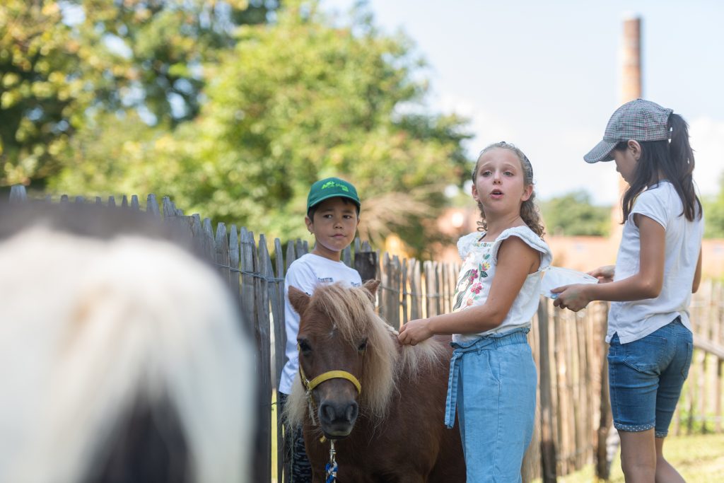La struttura offre pet therapy per bambini, ragazzi ma anche adulti con disabilità, disagi o altre difficoltà (www.castellafarm.ch)
