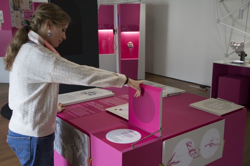 L'allestimento della mostra (L'Ideatorio)