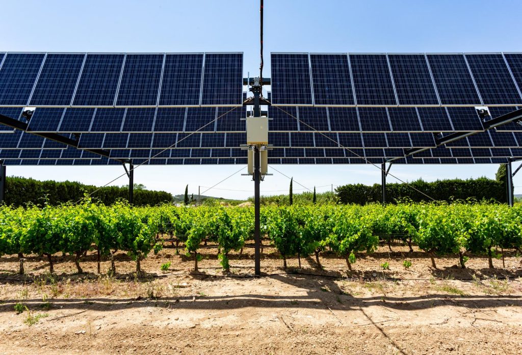Impianto agrivoltaico (Sun’Agri)