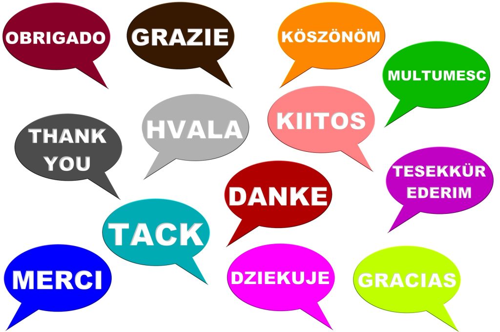 Il Festival delle lingue è giunto alla sua undicesima edizione (Marka)