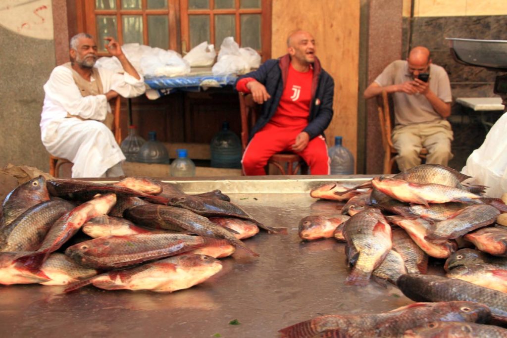 Pescivendoli stanchi in lunga attesa, pesce fresco che ancora si muove
