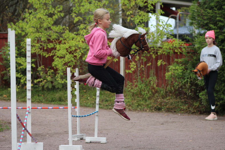 (Keppihevosharrastaja)