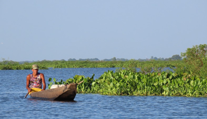 La ciénaga di Pijiño