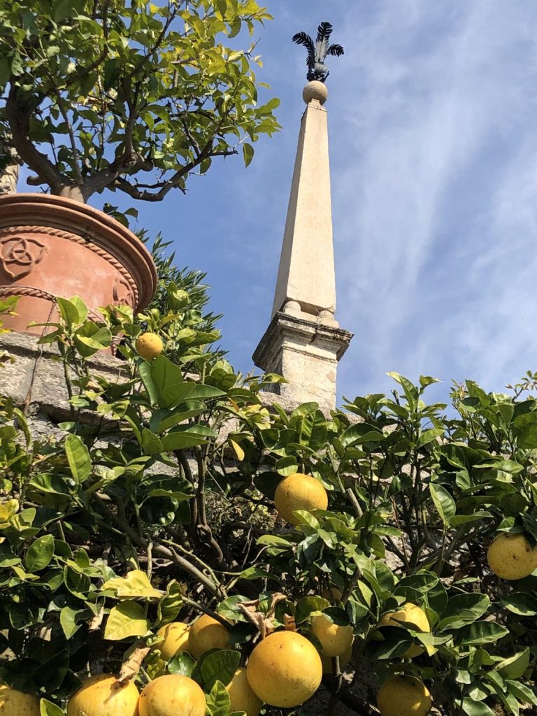 La spalliera di agrumi all’Isola Bella (Matilde Fontana)