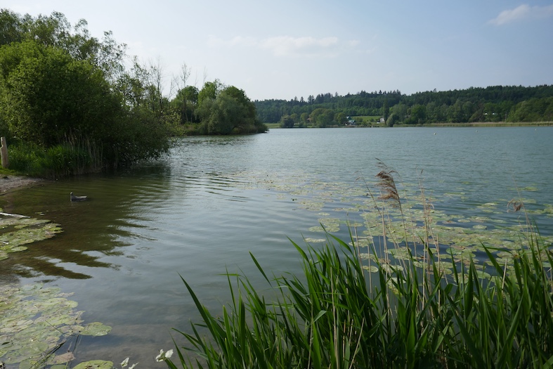 Idillio al lago di Moos (Adrian Aeschlimann)
