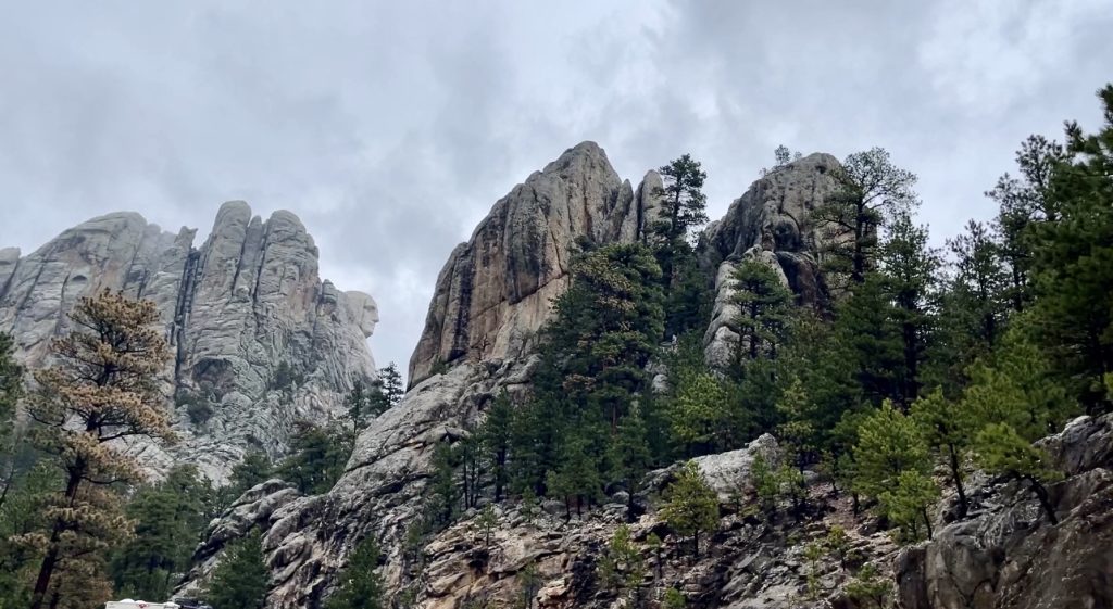La vegetazione delle Black Hills. I nativi chiamano questi boschi He Sapa, e le considerano sacre, perché rappresentano «il cuore di tutto ciò che esiste»