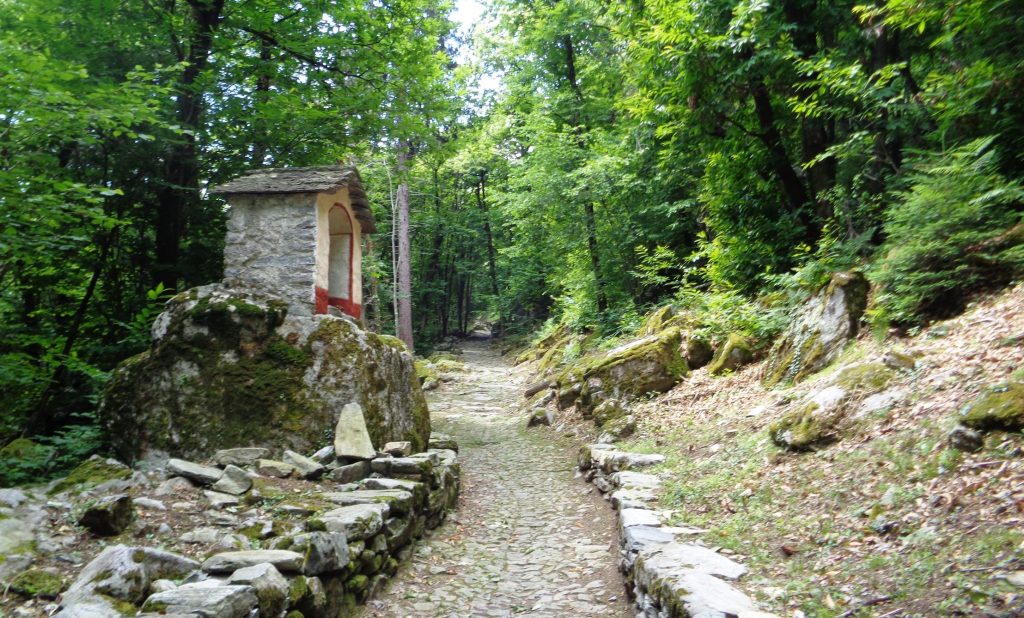 (Elia Stampanoni)