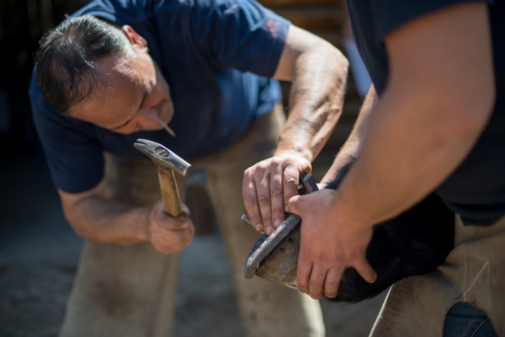 Maniscalchi al lavoro ad Agerola