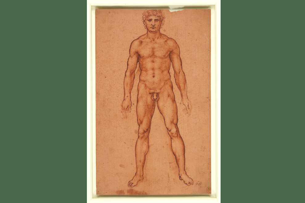 Leonardo, Nudo maschile in piedi, 1504-06